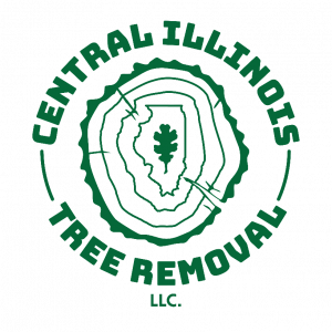 Central Illinois Tree Removal, Free Estimate